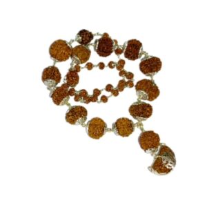 Natural Rudraksha Siddha Mala Certified & Original - Image 2