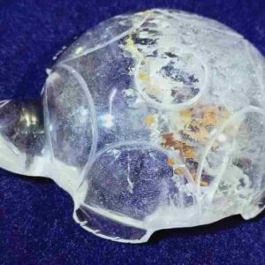 Indian Sphatik Kachua & Lab- Certified 70 to 75 Gram - Image 3