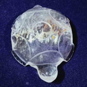 Indian Sphatik Kachua & Lab- Certified 70 to 75 Gram - Image 2