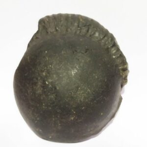 Kuber Shaligram 251 Gram Very Rare Shaligram - Image 2