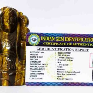 Natural Tiger Eye Hanuman ji Idol Abhimantrit & Certified 255 Gram - Image 2