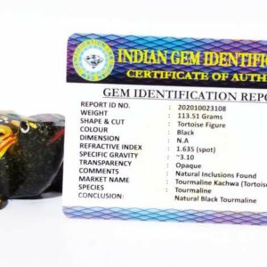Tourmaline Tortoise (Kachwa) Figure Abhimantrit & Certified 111 Gram - Image 2