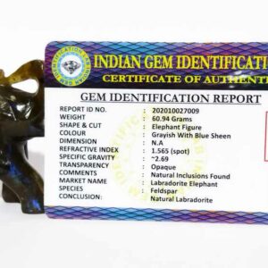 Original Labradorite Elephant Figure 61 Gram Abhimantrit & Certified - Image 2