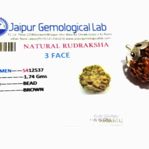 Natural 3 Mukhi Rudraksha Bead In silver pendant & Certified - Image 2