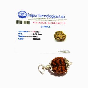 Natural 3 Mukhi Rudraksha Bead In silver pendant & Certified - Image 5