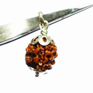Natural 3 Mukhi Rudraksha Bead In silver pendant & Certified - Image 3