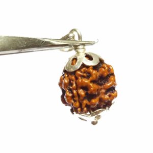 Natural 3 Mukhi Rudraksha Bead In silver pendant & Certified - Image 4