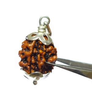 Natural 3 Mukhi Rudraksha Bead In silver pendant & Certified - Image 6