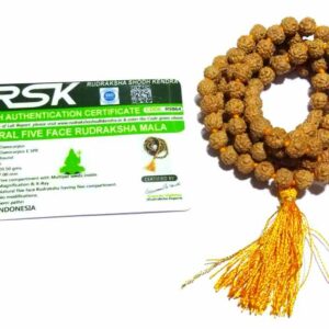 Natural 5 Mukhi Rudraksha Mala (Semi Pathri) & Certified 7mm - Image 2