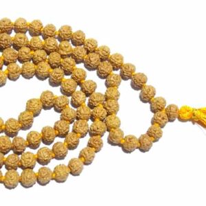 Natural 5 Mukhi Rudraksha Mala (Semi Pathri) & Certified 7mm - Image 5