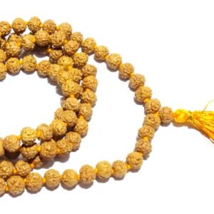 Natural 5 Mukhi Rudraksha Mala (Semi Pathri) & Certified 7mm - Image 6