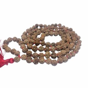 Very Rare Nepali 5 Mukhi Rudraksha Mala Original, Certified 10mm With 108+1 Beads - Image 3