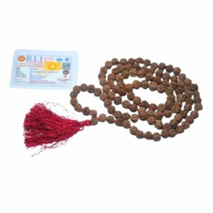Very Rare Nepali 5 Mukhi Rudraksha Mala Original, Certified 10mm With 108+1 Beads - Image 6