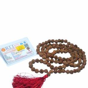 Very Rare Nepali 5 Mukhi Rudraksha Mala Original, Certified 10mm With 108+1 Beads - Image 2