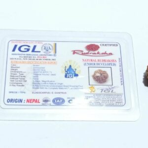 Nepali Faceless Rudraksha Bead (0 Mukhi Rudraksha) & Lab Certified - Image 2
