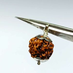 Nepali 4 Mukhi Rudraksha Bead In Silver Locket- Abhimantrit, Affordable & Certified - Image 4