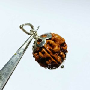 Nepali 4 Mukhi Rudraksha Bead In Silver Locket- Abhimantrit, Affordable & Certified - Image 2