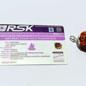 Nepali 4 Mukhi Rudraksha Bead In Silver Locket- Abhimantrit, Affordable & Certified - Image 3
