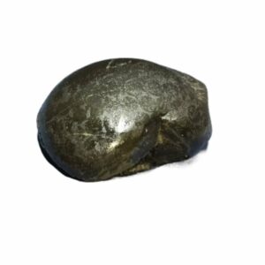 Laxmi Narayan Shaligram 100% Genuine & Rare 610 Gram (Lakshmi narayan) - Image 5