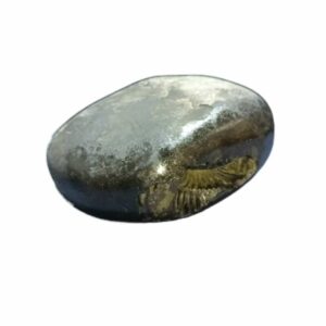 Laxmi Narayan Shaligram 100% Genuine & Rare 532 Gram (Lakshmi narayan) - Image 3