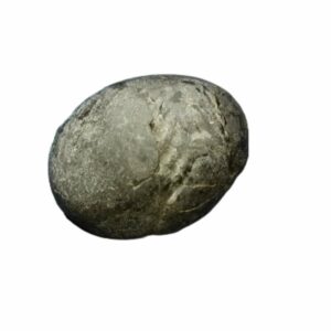 Laxmi Narayan Shaligram 100% Genuine & Rare 348 Gram (Lakshmi narayan) - Image 2