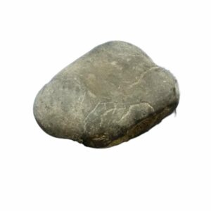 Laxmi Narayan Shaligram 100% Genuine & Rare 422 Gram (Lakshmi narayan) - Image 2
