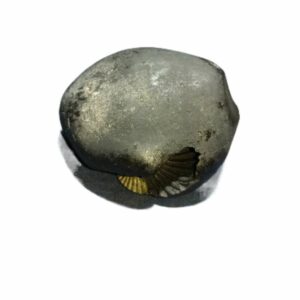 Laxmi Narayan Shaligram 100% Genuine & Rare 421 Gram (Lakshmi narayan) - Image 2