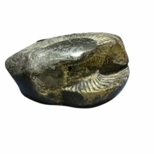 Laxmi Narayan Shaligram 100% Genuine & Rare 610 Gram (Lakshmi narayan) - Image 4
