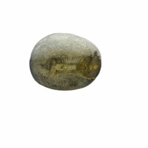 Laxmi Narayan Shaligram 100% Genuine & Rare 291 Gram (Lakshmi narayan) - Image 3