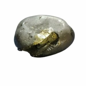 Laxmi Narayan Shaligram 100% Genuine & Rare 421 Gram (Lakshmi narayan) - Image 3