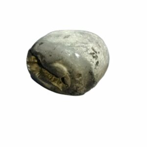 Laxmi Narayan Shaligram 100% Genuine & Rare 352 Gram (Lakshmi narayan) - Image 2