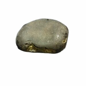 Laxmi Narayan Shaligram 100% Genuine & Rare 299 Gram (Lakshmi narayan) - Image 3