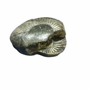 Laxmi Narayan Shaligram 100% Genuine & Rare 610 Gram (Lakshmi narayan) - Image 3