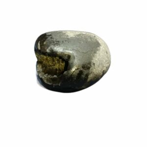 Laxmi Narayan Shaligram 100% Genuine & Rare 502 Gram (Lakshmi narayan) - Image 3