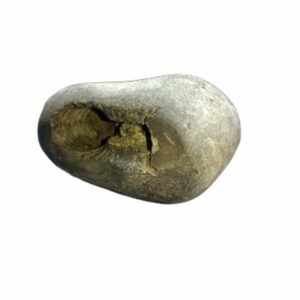 Laxmi Narayan Shaligram 100% Genuine & Rare 456 Gram (Lakshmi narayan) - Image 4