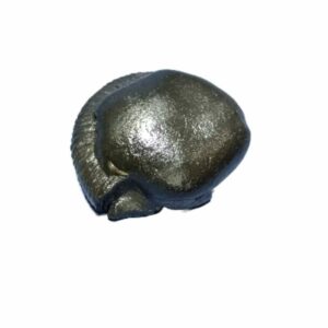 Laxmi Narayan Shaligram 100% Genuine & Rare 635 Gram (Lakshmi narayan) - Image 4