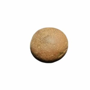 Laddu Gopal Shaligram, Rare 85 Gram & 100% Genuine (Laddo Gopal) - Image 2