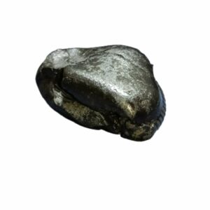 Laxmi Narayan Shaligram 100% Genuine & Rare 495 Gram (Lakshmi narayan) - Image 2