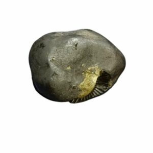 Laxmi Narayan Shaligram 100% Genuine & Rare 421 Gram (Lakshmi narayan) - Image 4