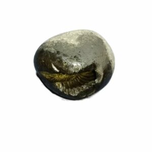 Laxmi Narayan Shaligram 100% Genuine & Rare 502 Gram (Lakshmi narayan) - Image 4