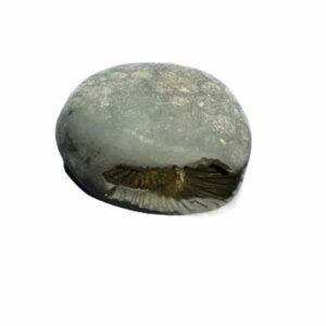 Laxmi Narayan Shaligram 100% Genuine & Rare 363 Gram (Lakshmi narayan) - Image 2