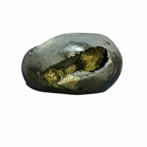 Laxmi Narayan Shaligram 100% Genuine & Rare 421 Gram (Lakshmi narayan) - Image 1