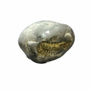 Laxmi Narayan Shaligram 100% Genuine & Rare 352 Gram (Lakshmi narayan) - Image 1