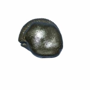 Laxmi Narayan Shaligram 100% Genuine & Rare 635 Gram (Lakshmi narayan) - Image 5