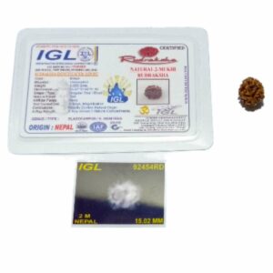 Mantrit (Energized) 2 Mukhi Rudraksha (Nepali) bead 15mm  With X-ray Report - Image 5