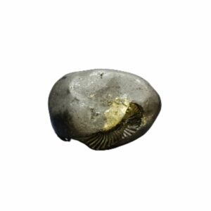 Laxmi Narayan Shaligram 100% Genuine & Rare 421 Gram (Lakshmi narayan) - Image 5