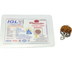 Natural 11 Mukhi Nepali Mantrit (Energized) Rudraksha Bead In Silver Locket, Certified with X-Ray Report - Image 5