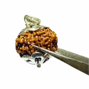 Mantrit (Energized), Original 9 Mukhi Rudraksha In Silver Locket - Image 1