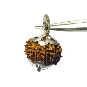 Natural 11 Mukhi Nepali Mantrit (Energized) Rudraksha Bead In Silver Locket, Certified with X-Ray Report - Image 2