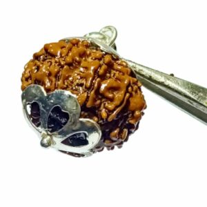 Mantrit (Energized), Original 9 Mukhi Rudraksha In Silver Locket - Image 3